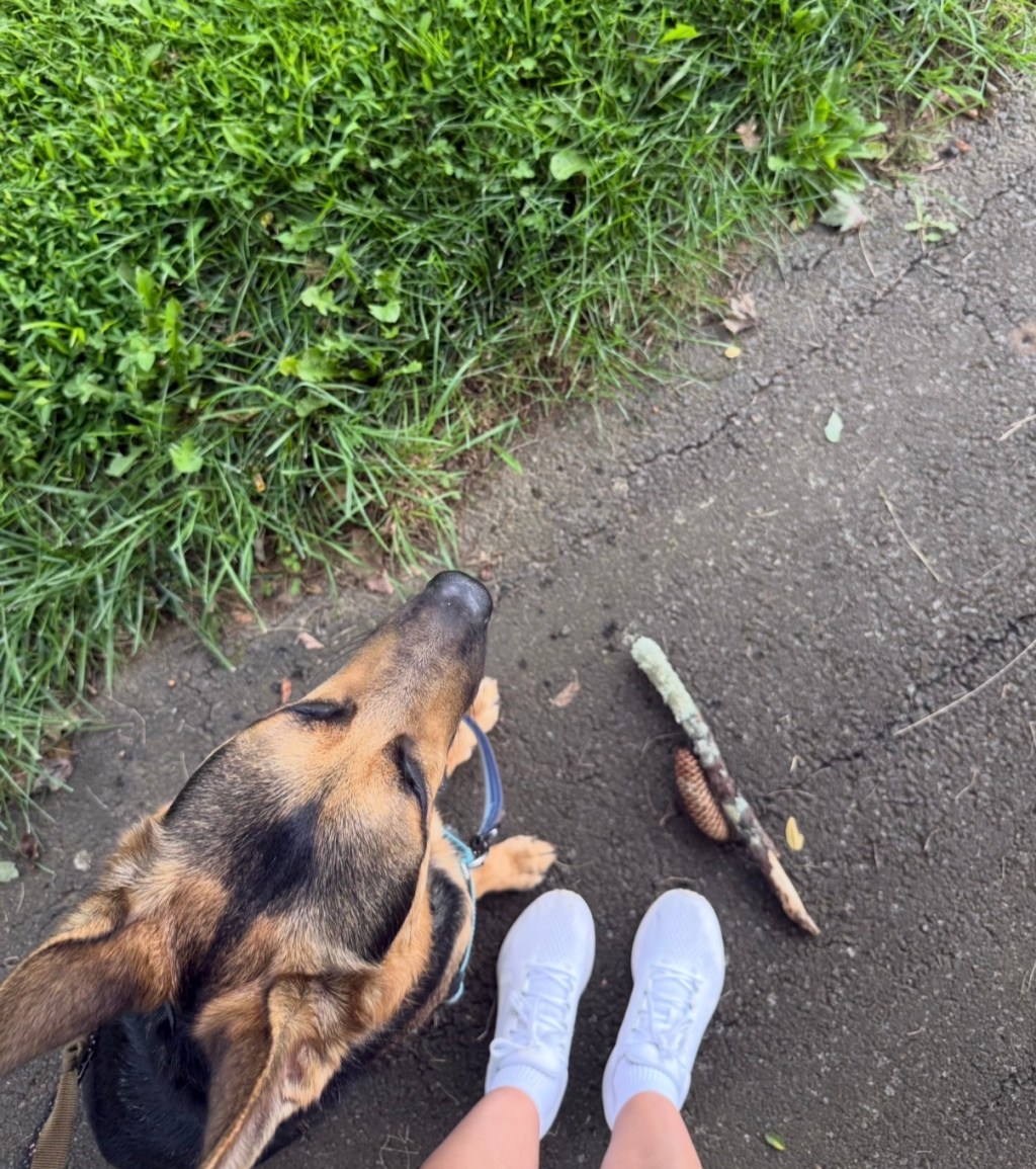 Remi standing beside Anne’s feet on a path, with a small stick and pinecone on the ground between them.