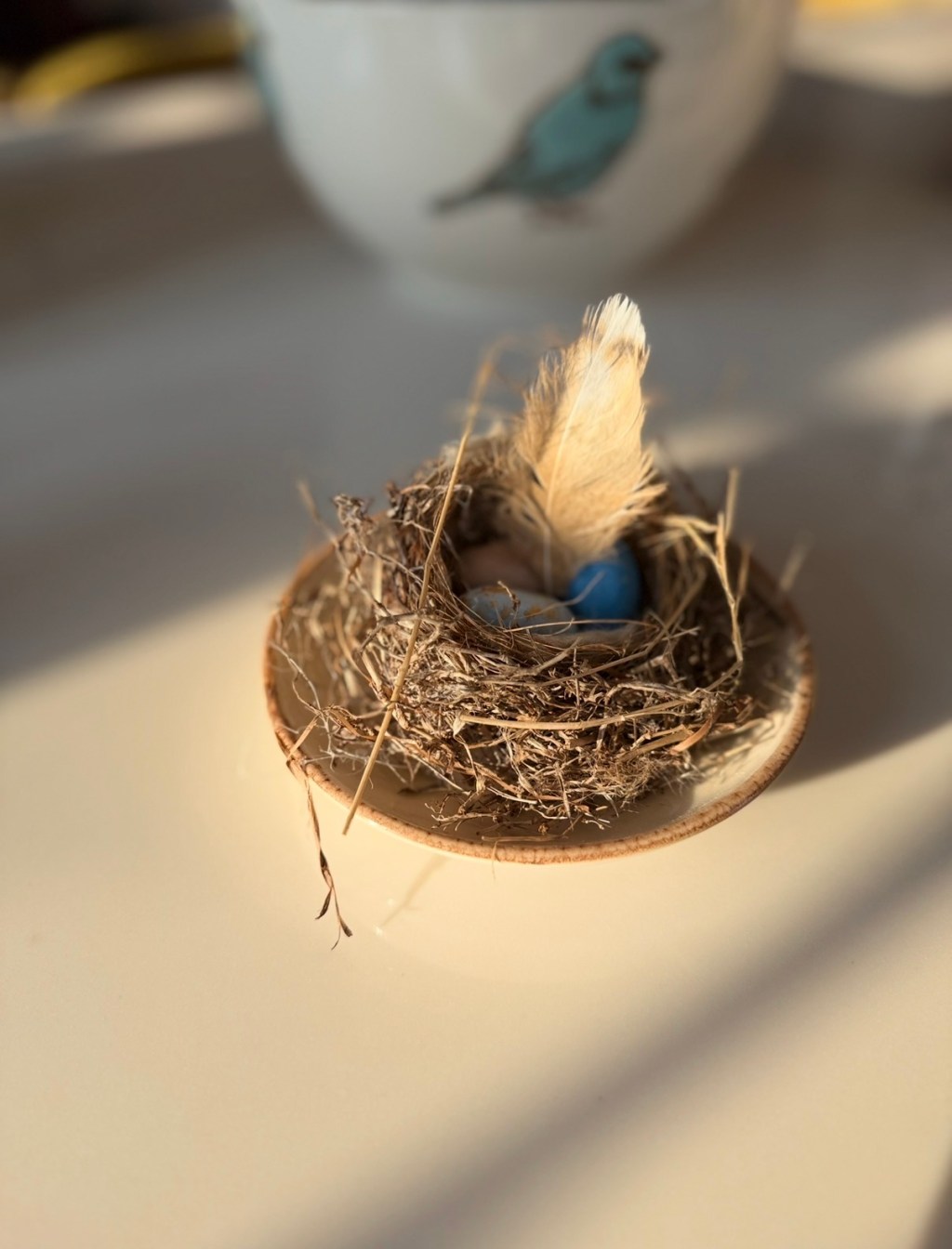 A small feather resting in a bird’s nest with blue eggs in warm sunlight.